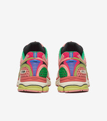 Saucony ProGrid Triumph 4 Jae Tips Flowers Grow Uptown Virginia Creeper